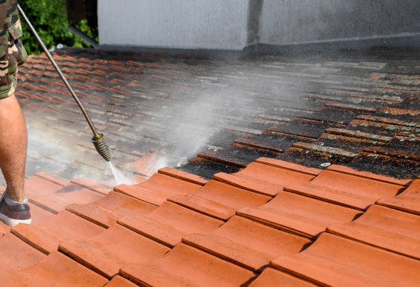 Best Power Washing Near Me  in Spencer, WI